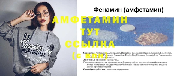 амф Горняк