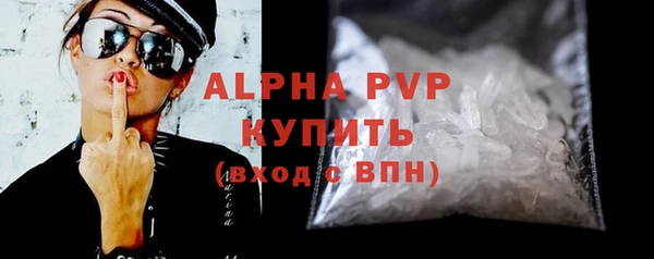 амф Горняк