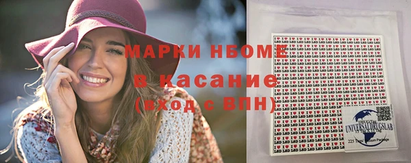 амф Горняк