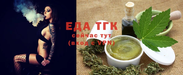 амф Горняк