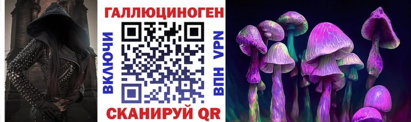 Купить закладки  Домодедово  Псилоцибиновые грибы GOLDEN TEACHER 